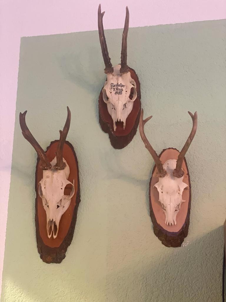 Haus Karin مالنتز المظهر الخارجي الصورة